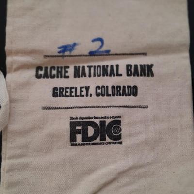 Birthday coin set 1935 D penny, 1935 Buffalo nickel with Greeley bank bag