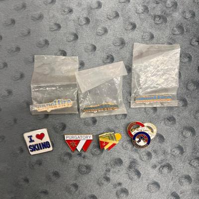 Vintage ski pins