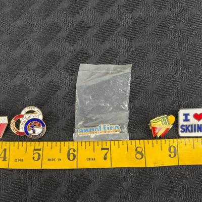 Vintage ski pins