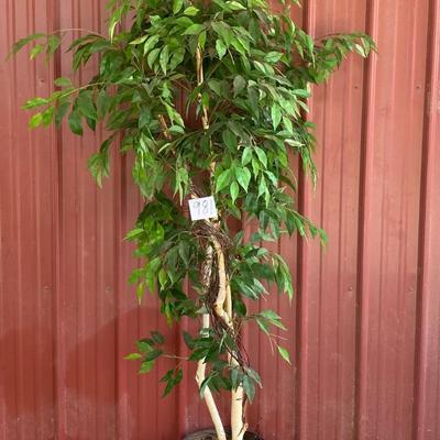 Artificial Tree