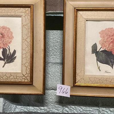 Flower Pictures