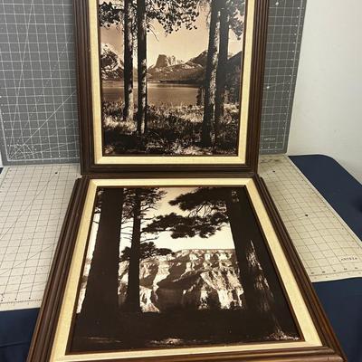 2 Framed Outdoor Photographs 