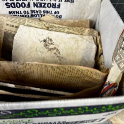 Pieces of Shell and Fossils of fish, leaf, etc.