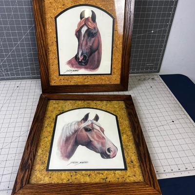 2 Horse Prints by Sharon Blain. Framed 