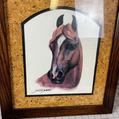 2 Horse Prints by Sharon Blain. Framed 