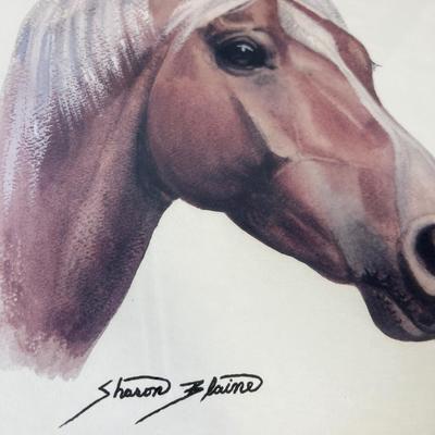 2 Horse Prints by Sharon Blain. Framed 