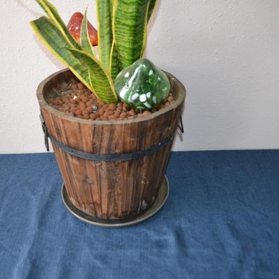 LOT 13 LIVE POTTED PLANT