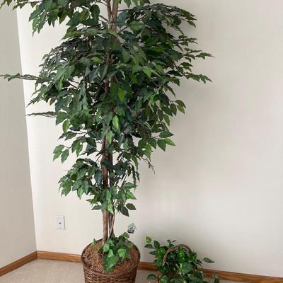 A8- Faux Ficus tree & faux plant