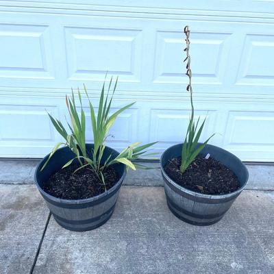 Two Matching Flower Pots
