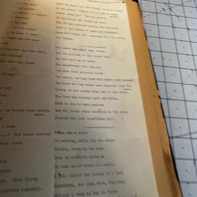 2 More Scrapbooks, Vintage! 