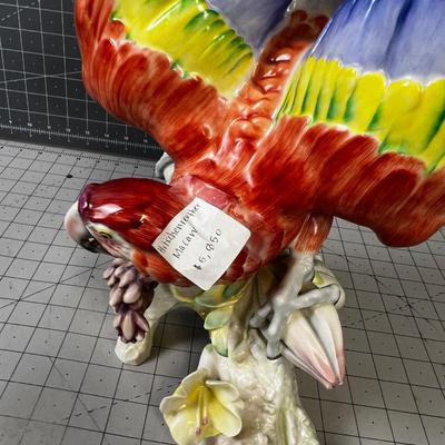 HUTSCHENREUTHER Macaw - Gorgeous!