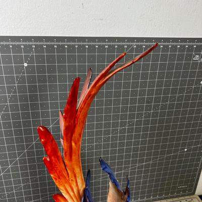 HUTSCHENREUTHER Macaw - Gorgeous!