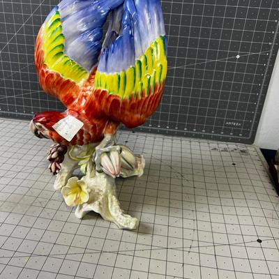 HUTSCHENREUTHER Macaw - Gorgeous!