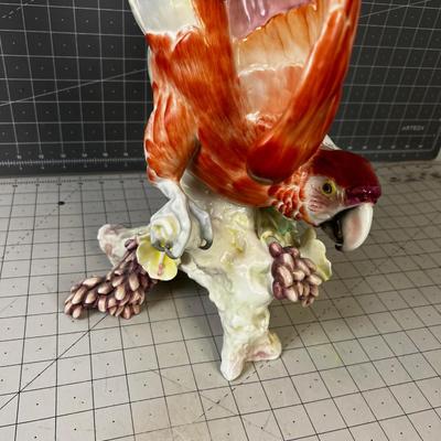 HUTSCHENREUTHER Macaw - Gorgeous!