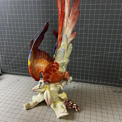 HUTSCHENREUTHER Macaw - Gorgeous!