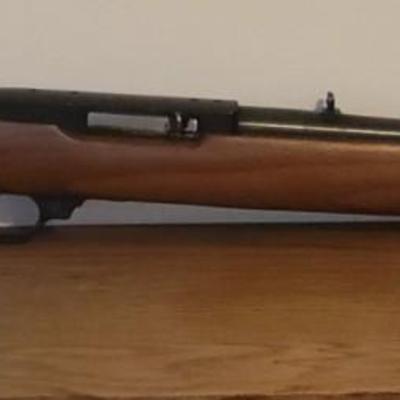 Ruger 22 Rifle