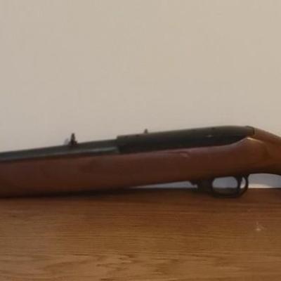 Ruger 22 Rifle