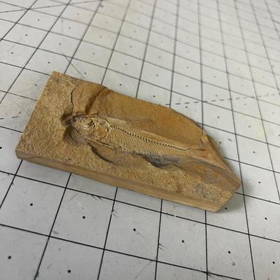 Fossil Fish 