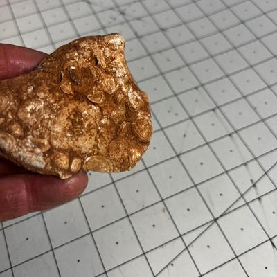 Mixed lot of Rocks and Sea Shells