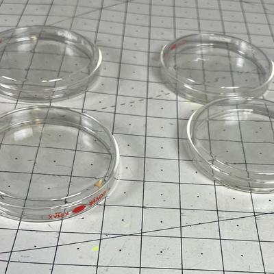Glass Petrie Dish 