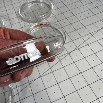 Glass Petrie Dish 