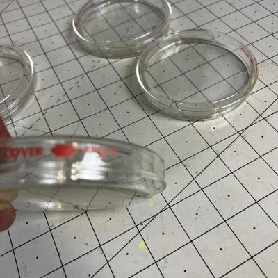 Glass Petrie Dish 