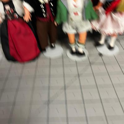 Doll Collection; Swiss or German? 