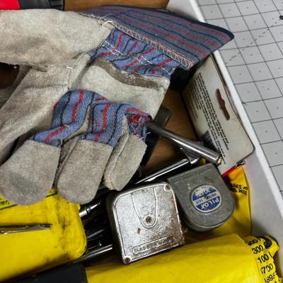 Tray of Hand Tools: Brush, Flashlight, Gloves etc.