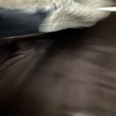 FAUX Stripped Coat FARRAGE Vintage 