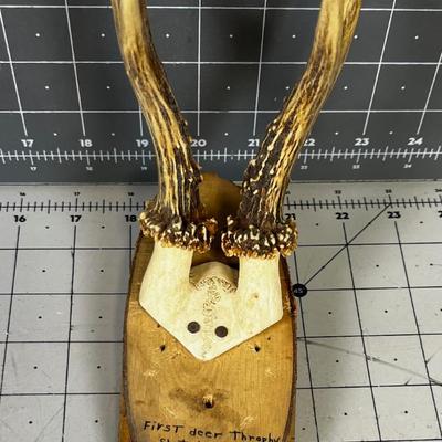 "First Deer Trophy Shot near the Village of Kammerberg, Germany