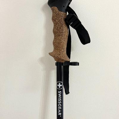 Hand Carved Walking Stick & Swiss Gear Adjustable Walking Stick.