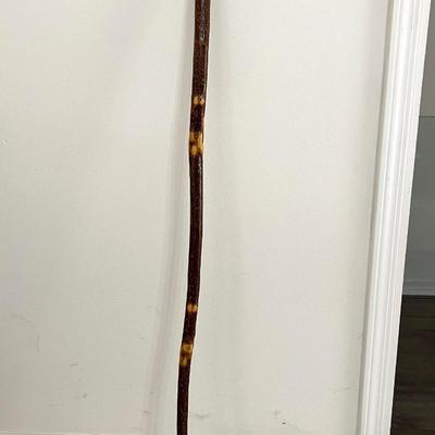 Hand Carved Walking Stick & Swiss Gear Adjustable Walking Stick.