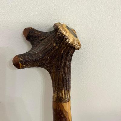 Hand Carved Walking Stick & Swiss Gear Adjustable Walking Stick.
