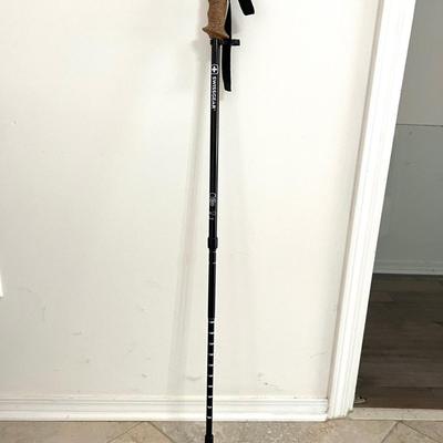 Hand Carved Walking Stick & Swiss Gear Adjustable Walking Stick.