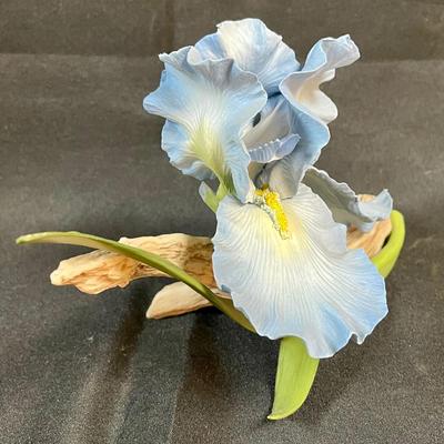 Royal Horticultural Society The Blue Sapphire Iris Figurine sculpted by Ronald van Ruyckevelt fine porcelain 1983