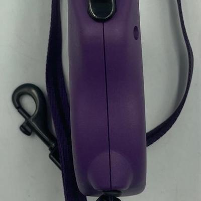Dog Toys and Leash