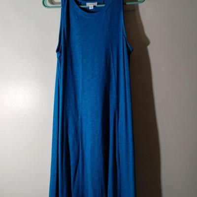 J.Jill Blue Dress
