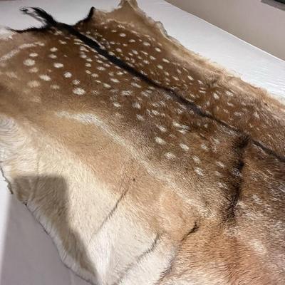 European Fallow deer hide