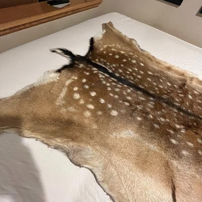 European Fallow deer hide