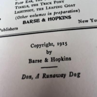 VINTAGE CHILDRENS BOOK 1915 â€œDON- A RUNAWAY DOGâ€