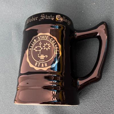 EXCELLENT WEBER STATE COLLEGE MUG STEIN