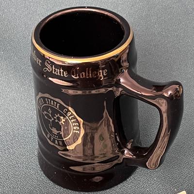 EXCELLENT WEBER STATE COLLEGE MUG STEIN