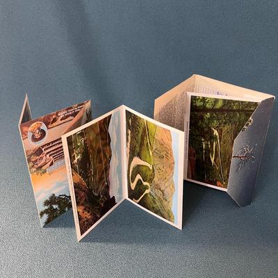 VINTAGE FOLD-OUT POSTCARD DENVER, MOUNTAIN PARKS 14 VIEWS