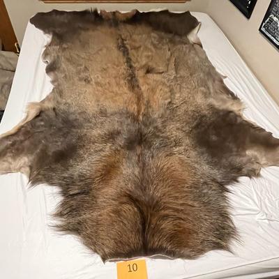 Tanned Elk Hide