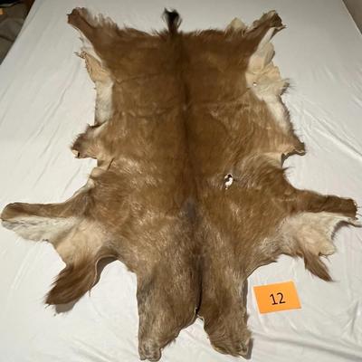 Deer Hide