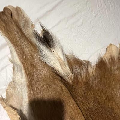 Deer Hide