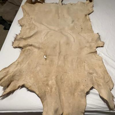 Deer Hide