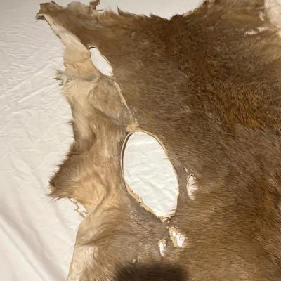 Deer Hide