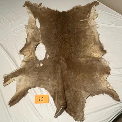 Deer Hide