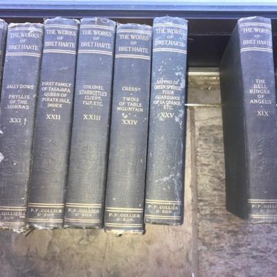 The works of Brett Harte collection of 19 books